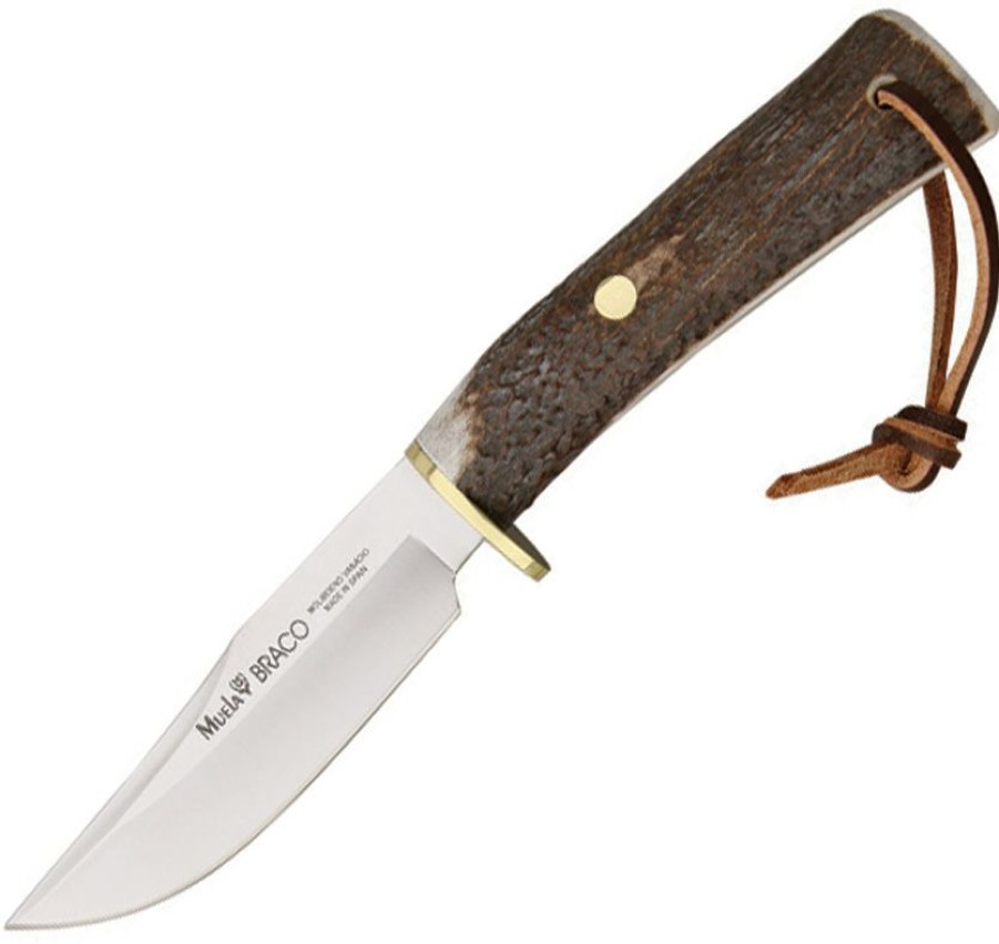 * | Special Mue90854 Muela Braco Fixed Blade