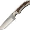 * | Special Azjwk1Fe Anza Fixed Blade Knife