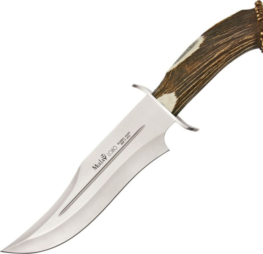 * | Quick Delivery Ci23S Muela Lobo Stag Bowie Knife